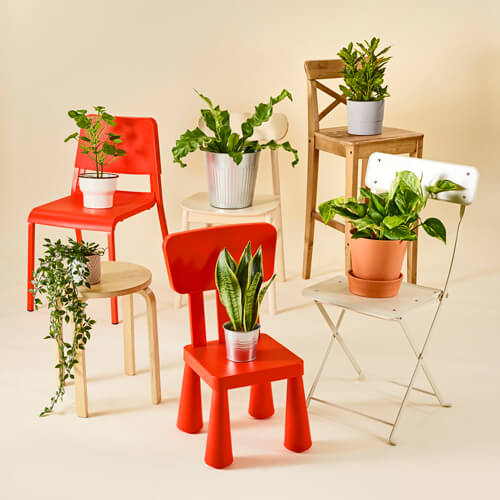  Styling for Ikea 